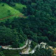 Select Wayanad